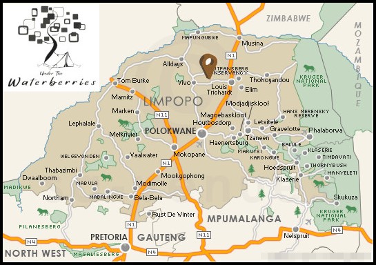 Direction Location Under the waterberries